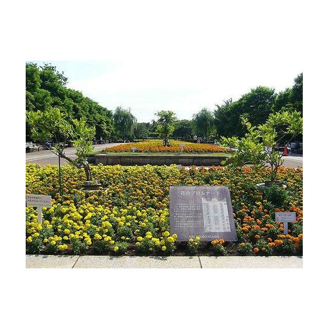 ピーノ湘南 その他外観4