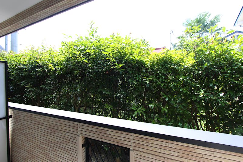 サンエコー ベランダ