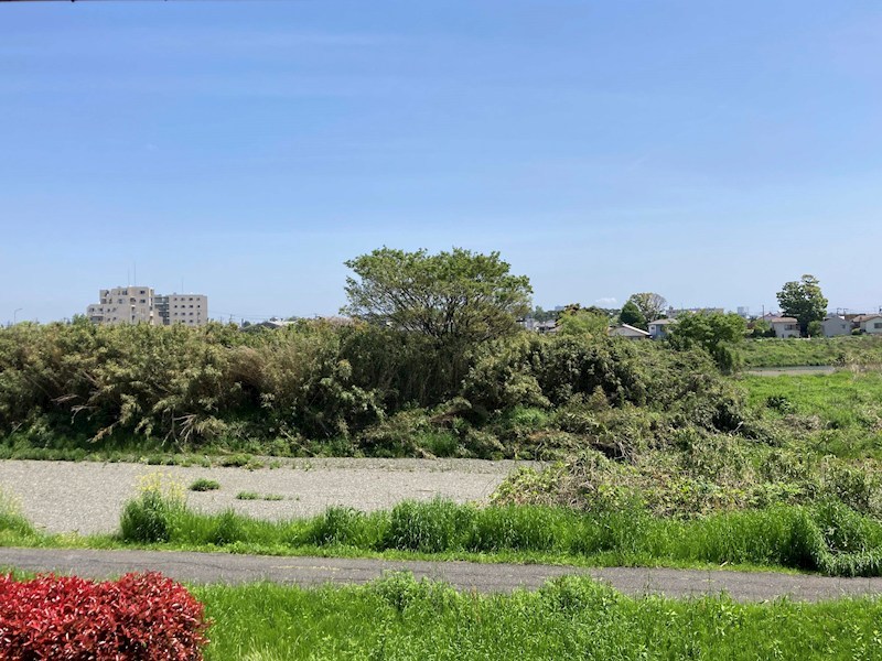 TAHITOLIEN その他4