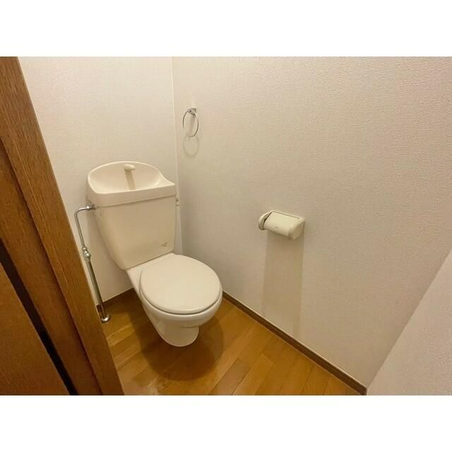 アムール椿 その他2