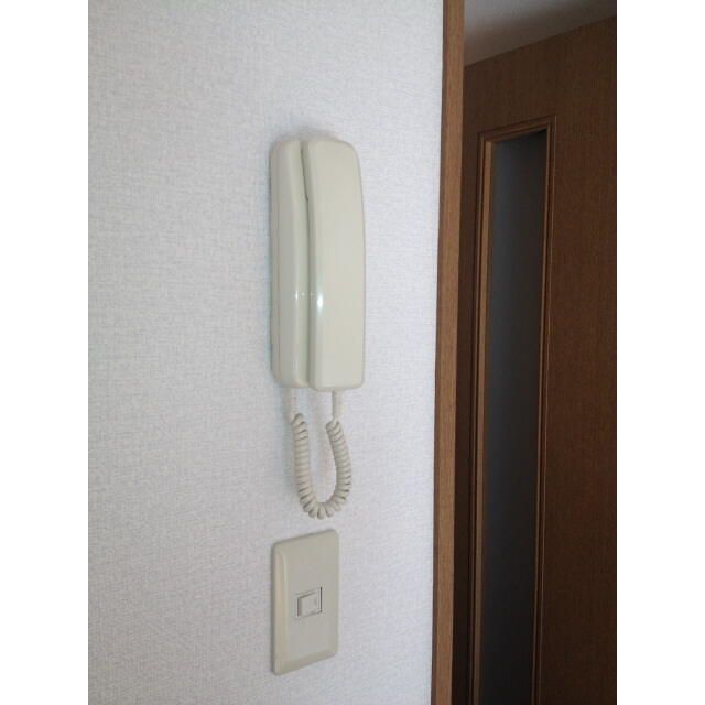 アムール椿 その他3