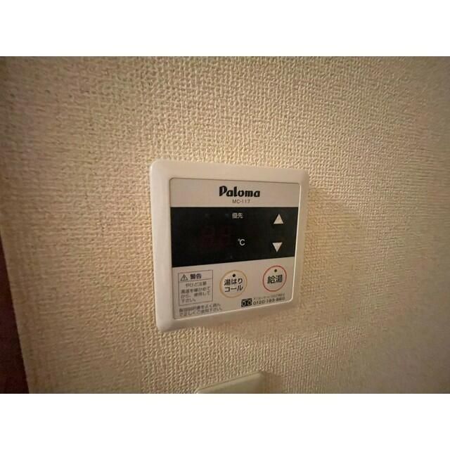 アムール椿 その他5