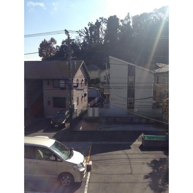 アムール椿 その他外観3