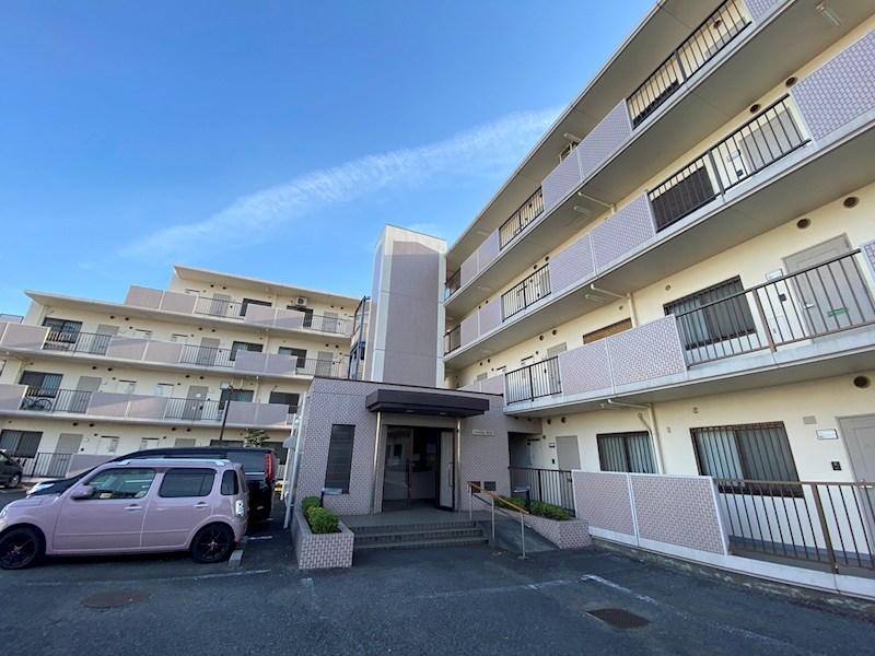 ダンデライアン鵠沼 0408号室 外観