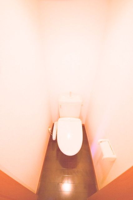 ジェミニファースト その他2