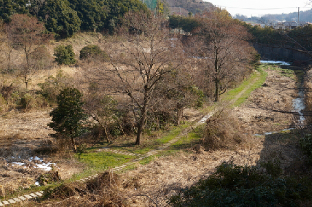パストラルはせがわ（天幸ビル６６） 周辺画像2