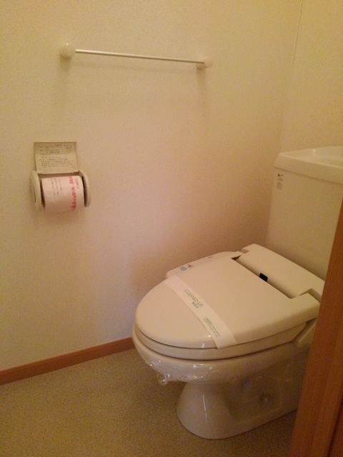 プラシード その他4