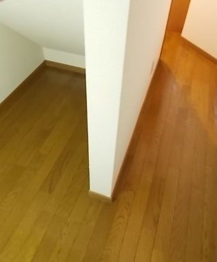 サンフラワー・Ｕ その他