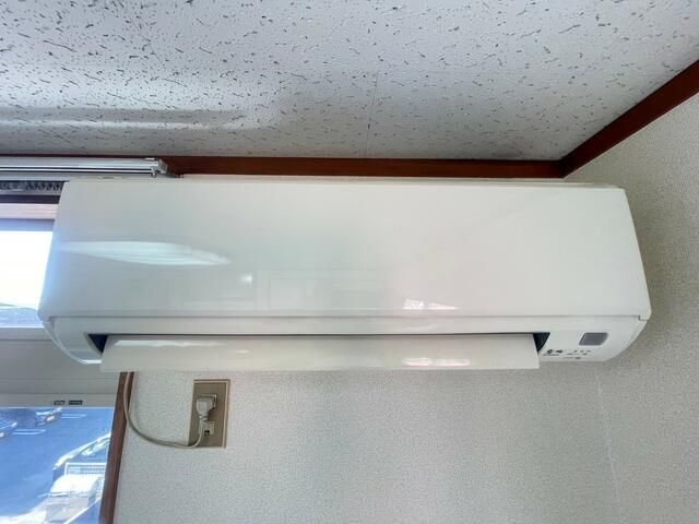 ルフィーノ妻田 その他4