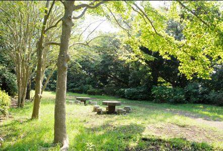コンフェスト江の島 公園