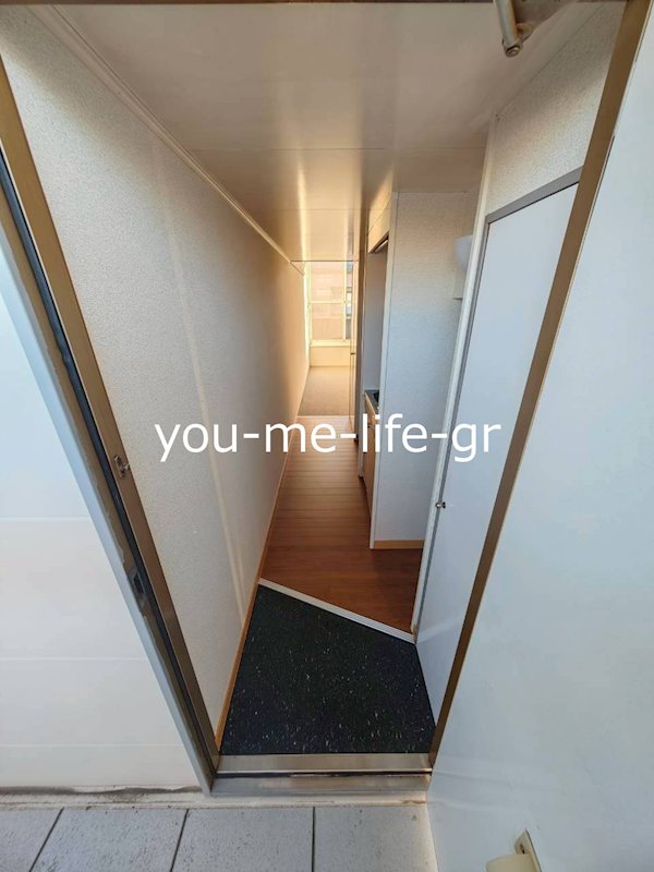 エルバージュ 玄関