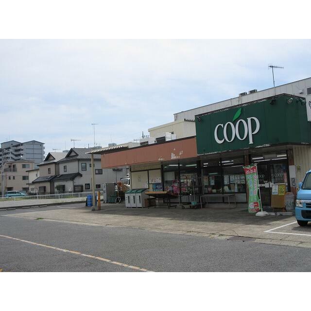 神奈川県海老名市河原口１丁目 ショッピング施設