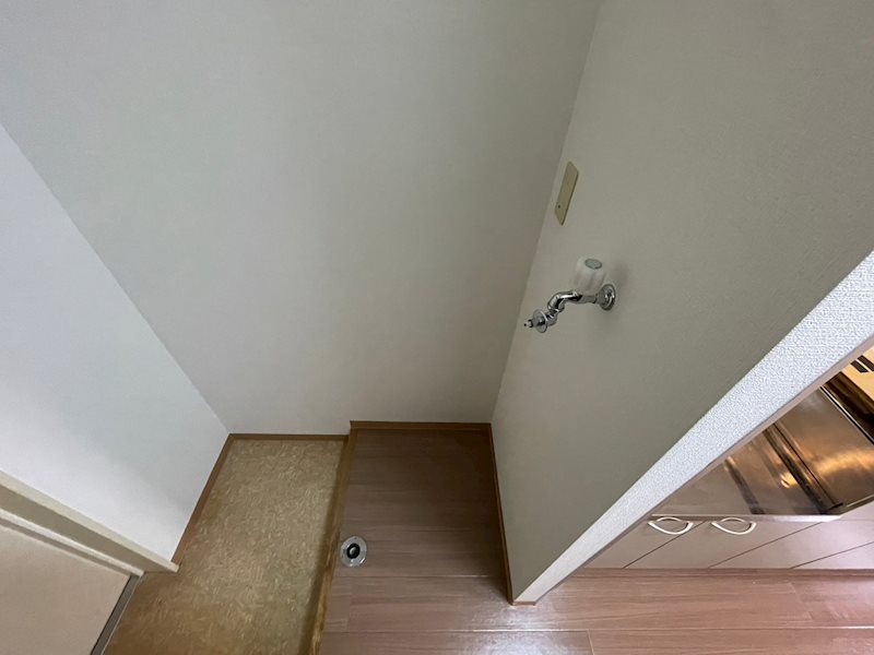 カジヤマグラスワン その他2