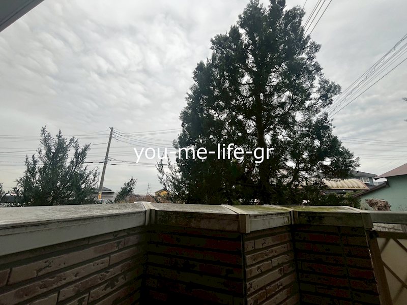 フレイジェⅠ その他6