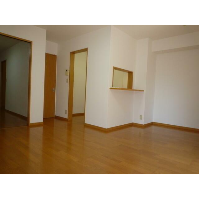 アムールハルⅡ その他6