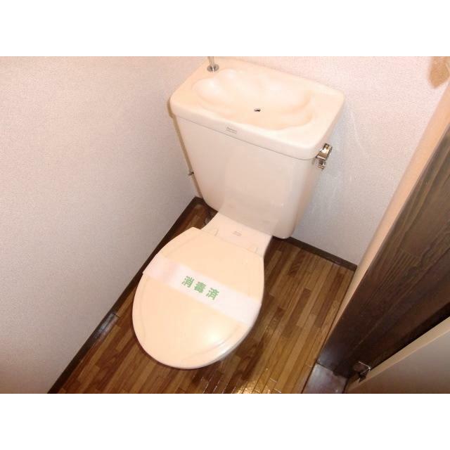 ルーメン その他1