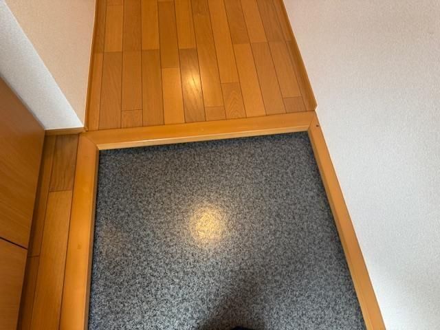 グリーンフラットⅡ 玄関