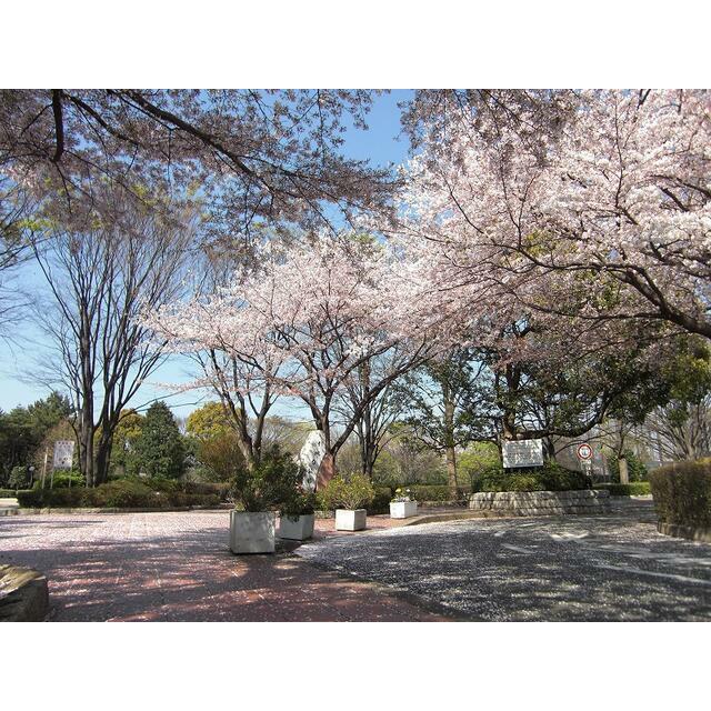 めぐみ荘 その他