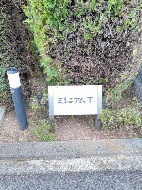 ミレニアム・Ｔ その他1