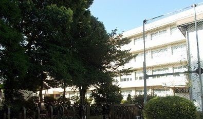 チェリーガーデン その他