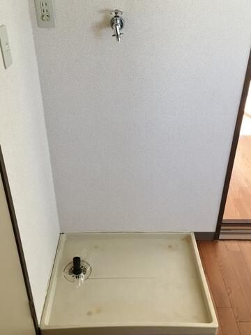 ルーメン その他2