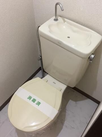 ルーメン その他3
