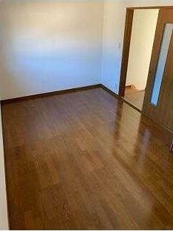 サザンコートしほみ その他