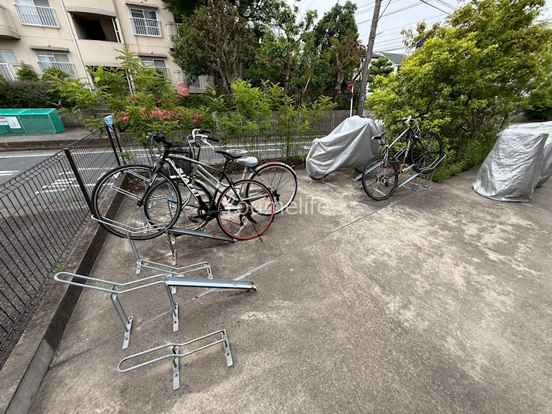 ミツ湘南 その他9
