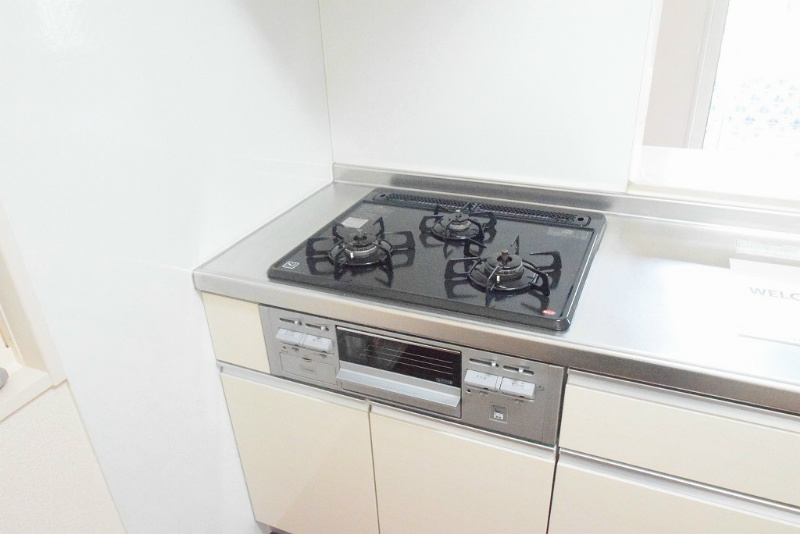 堀之内戸建て　F棟 その他19