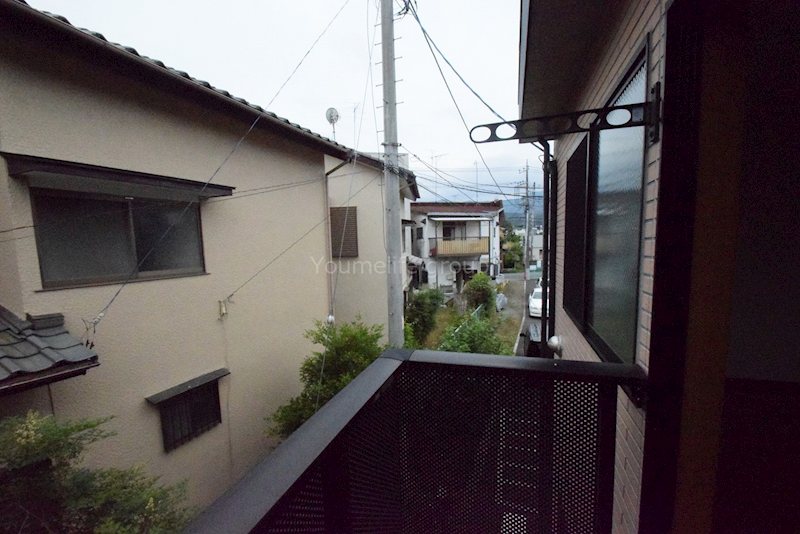 アムール　白樺 その他6