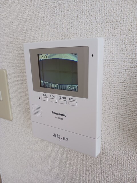 ミニヨンほたる その他6