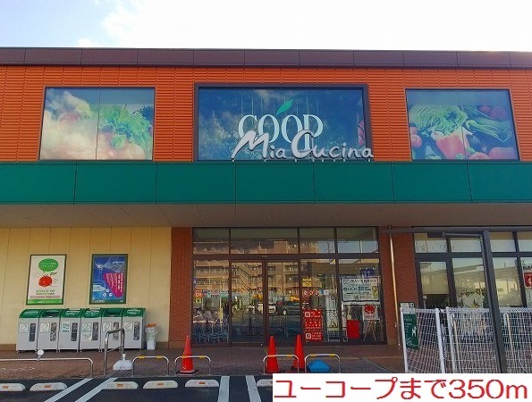 サン　ミルト その他