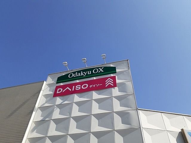コージェスト上宿 その他外観6