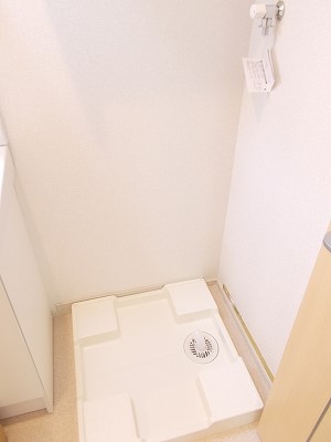 ミルティーユ　Ｂ その他4