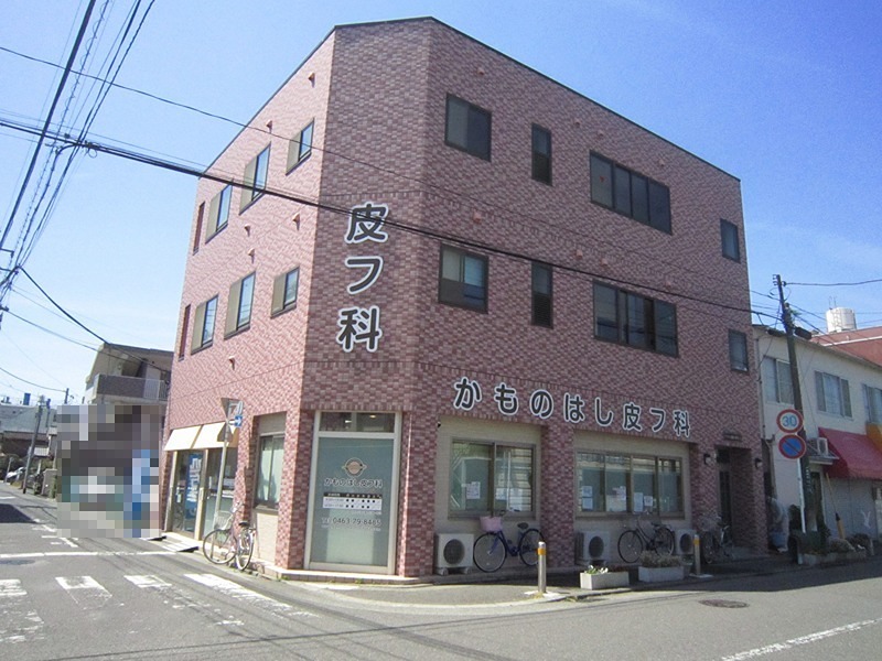 サクセス湘南八重咲ビル 203号室 外観