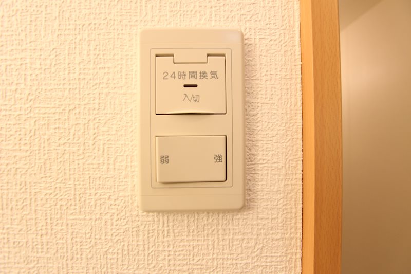 FEELO その他7