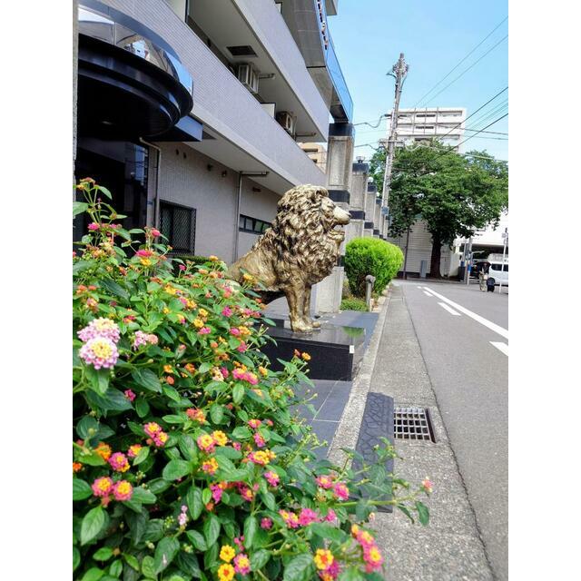 ライオンズプラザ平塚第2 1008号室 外観
