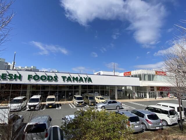 県ドリームハイツ８号棟 その他6