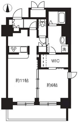 ステラ平塚 808号室 間取り