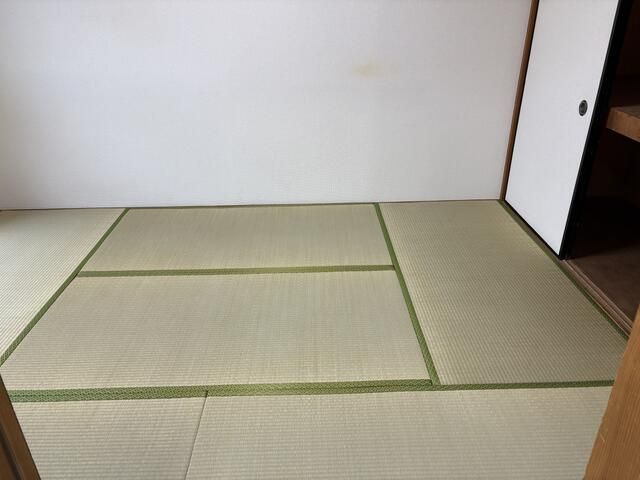 シャンボールミヤ その他