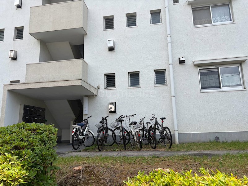 洋光台南第１団地 その他外観2