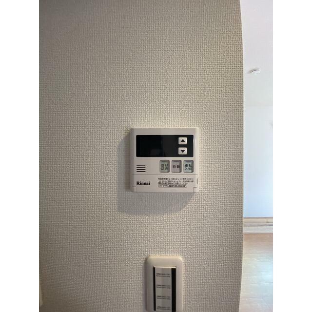 アムール　アンバー その他4