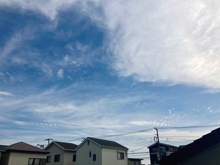 ナイスアーバンさがみ野 眺望