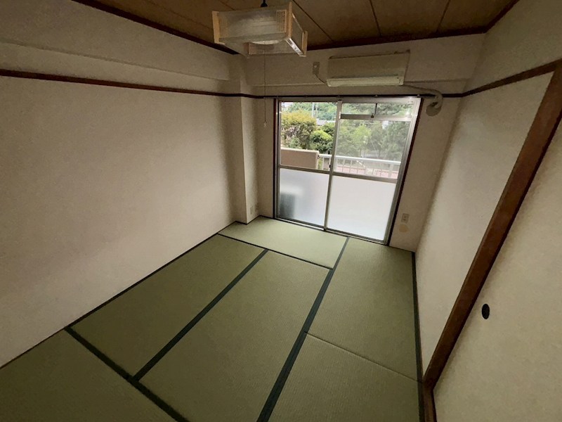 グレイス秦野 その他11