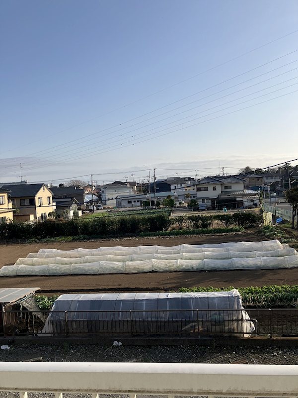 パリス 眺望