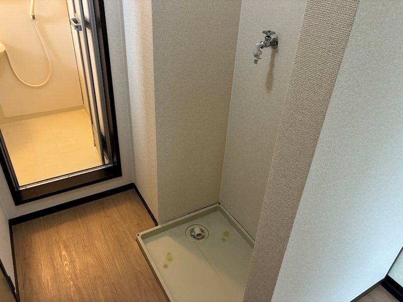 シュトラウスグラス その他4