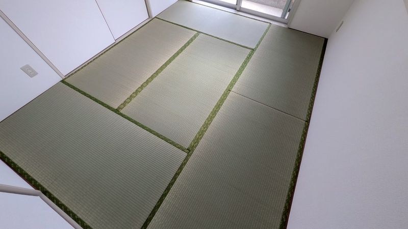 フローレンスユー その他5
