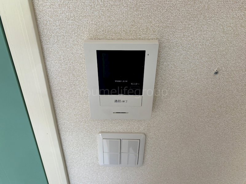 ELVITA SHONAN その他1