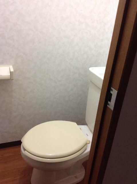 デイリーハイツ その他2