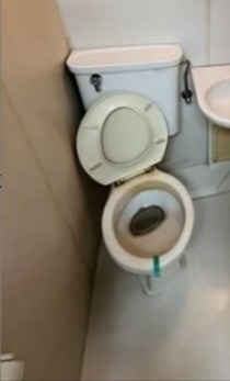 アルビオンシティ厚木 その他2